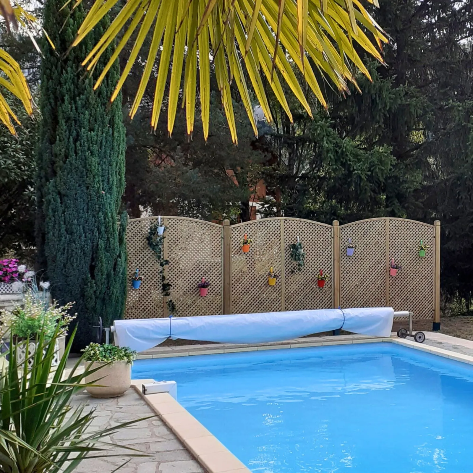 Clementinegitter mit attraktivem Bogenabschluss (1)