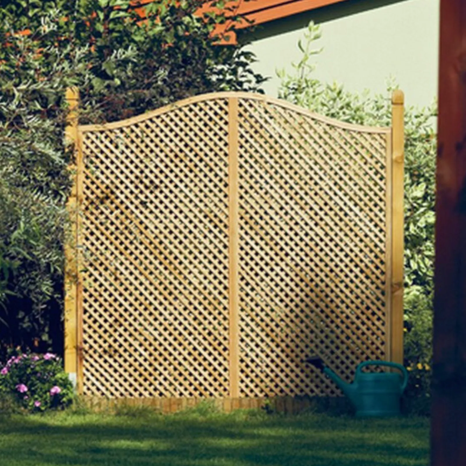 Clementinegitter mit Bogen als Kletterhilfe für Rosen (2)