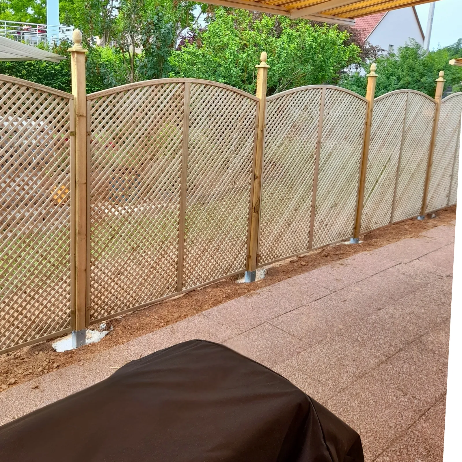 Clementinegitter mit konvexem Bogen (3)