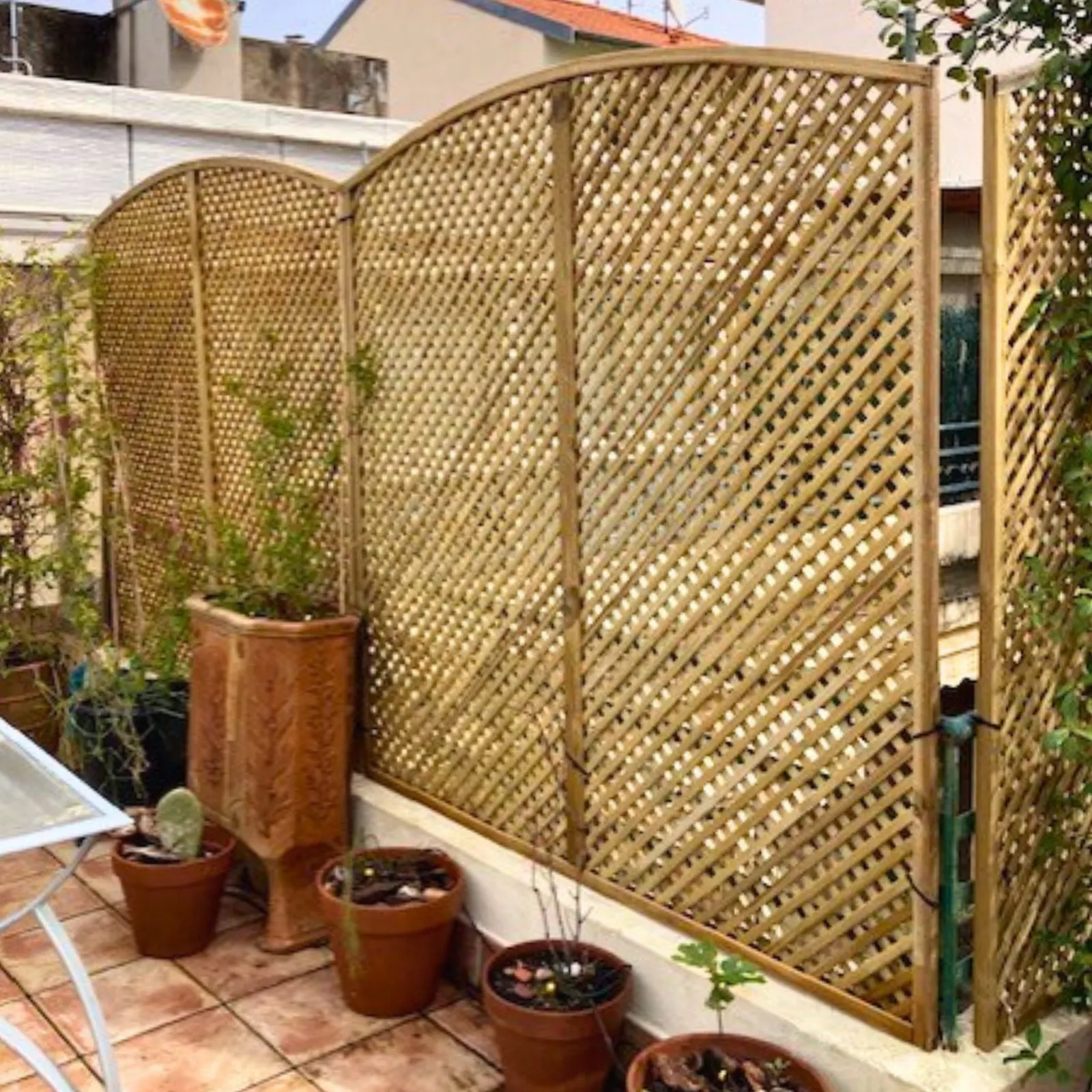 Gartengitter Clementine mit Bogen (Gesamtansicht) (4)