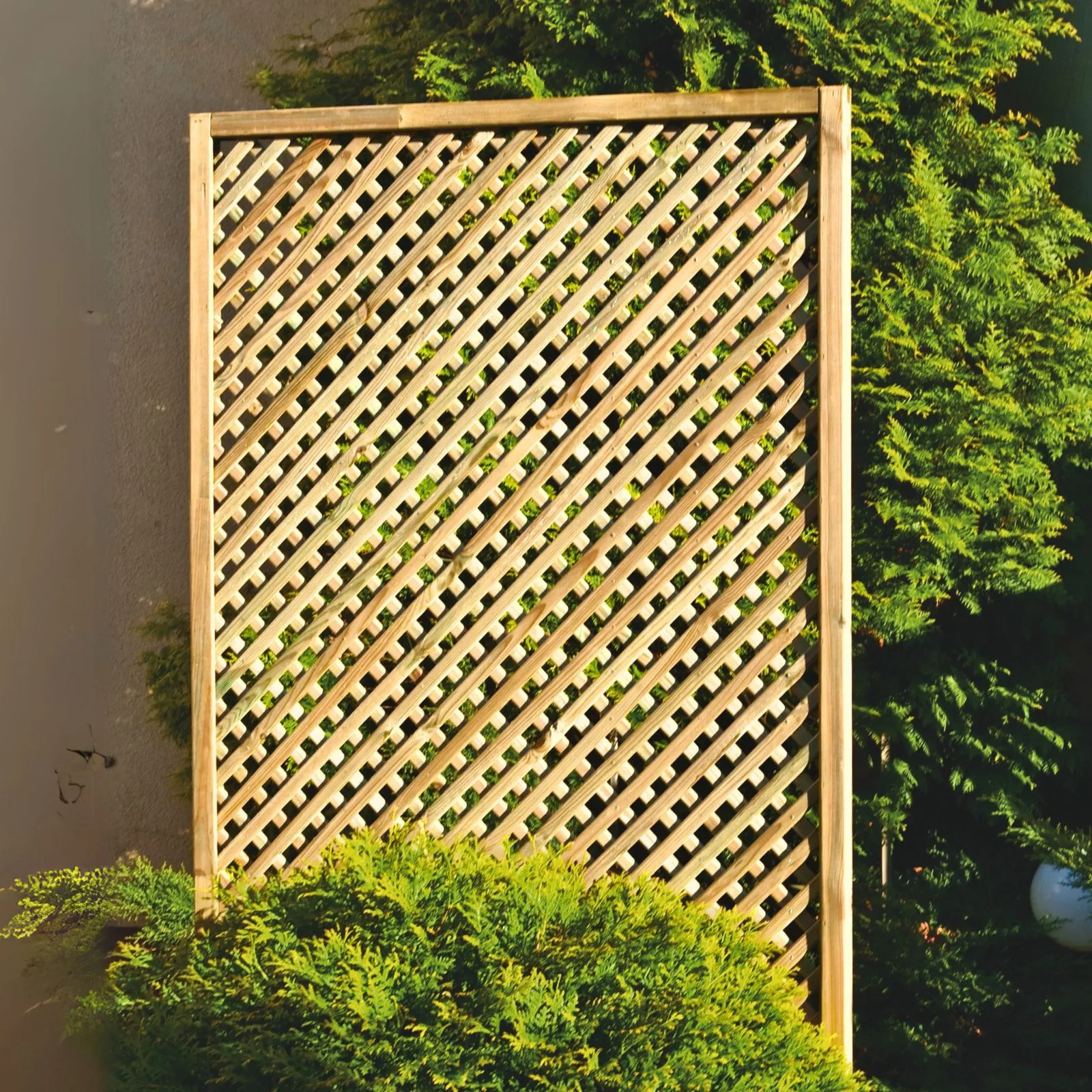 Clementinegitter in einer Gartensituation