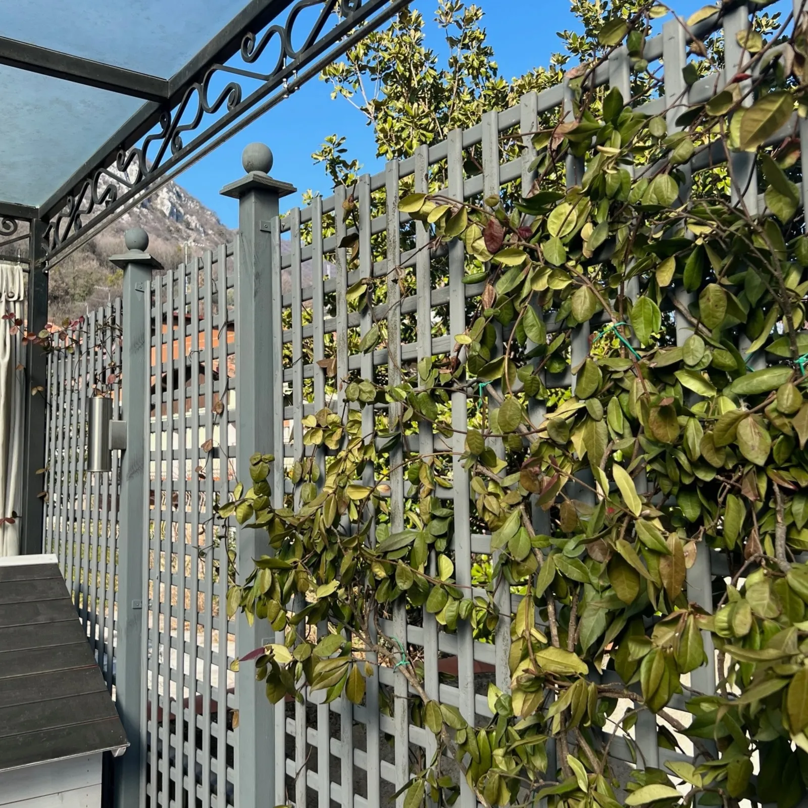 Eleganzgitter im Garten mit quadratischen Maschen