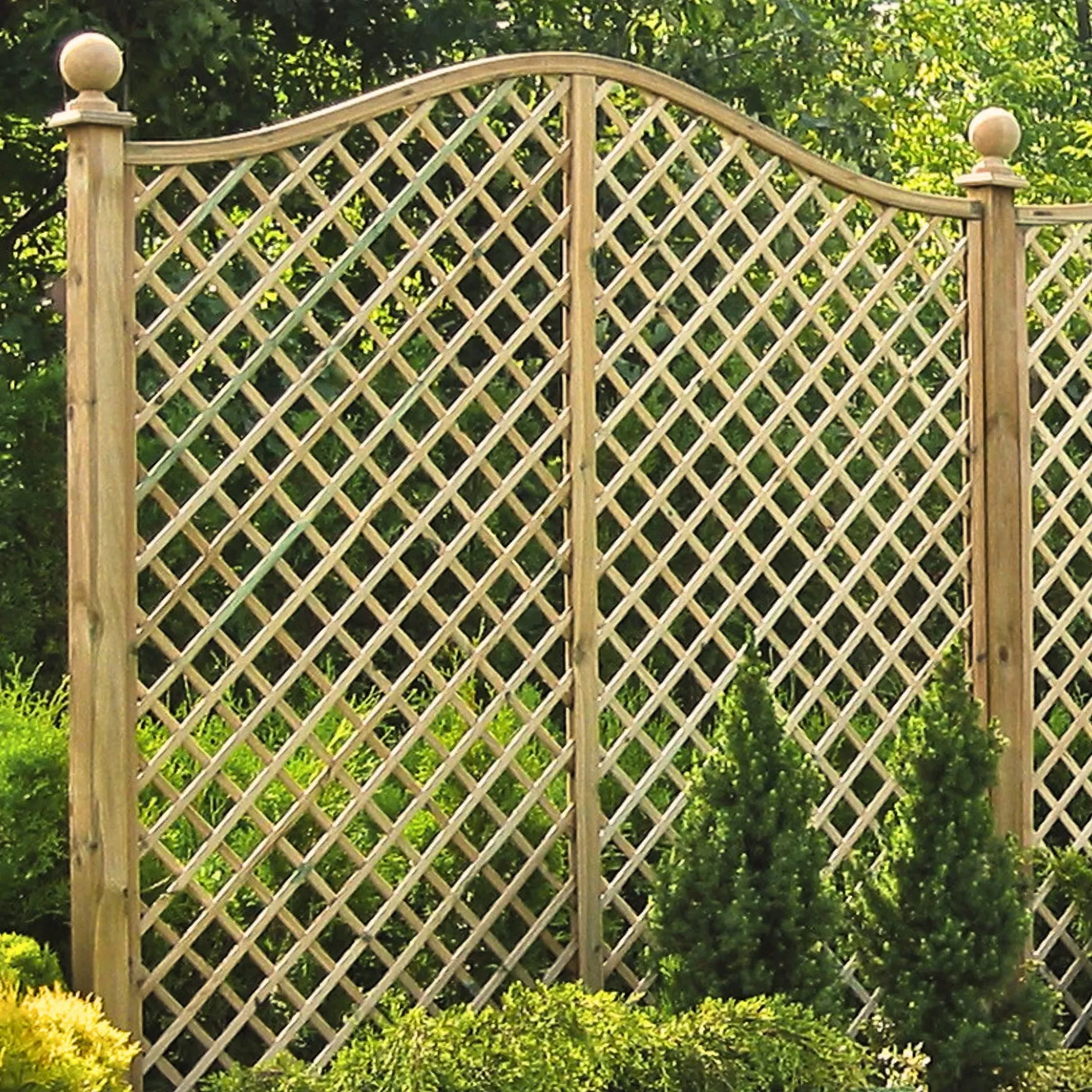 Rankgitter mit Omegabogen im Garten als Trennwand