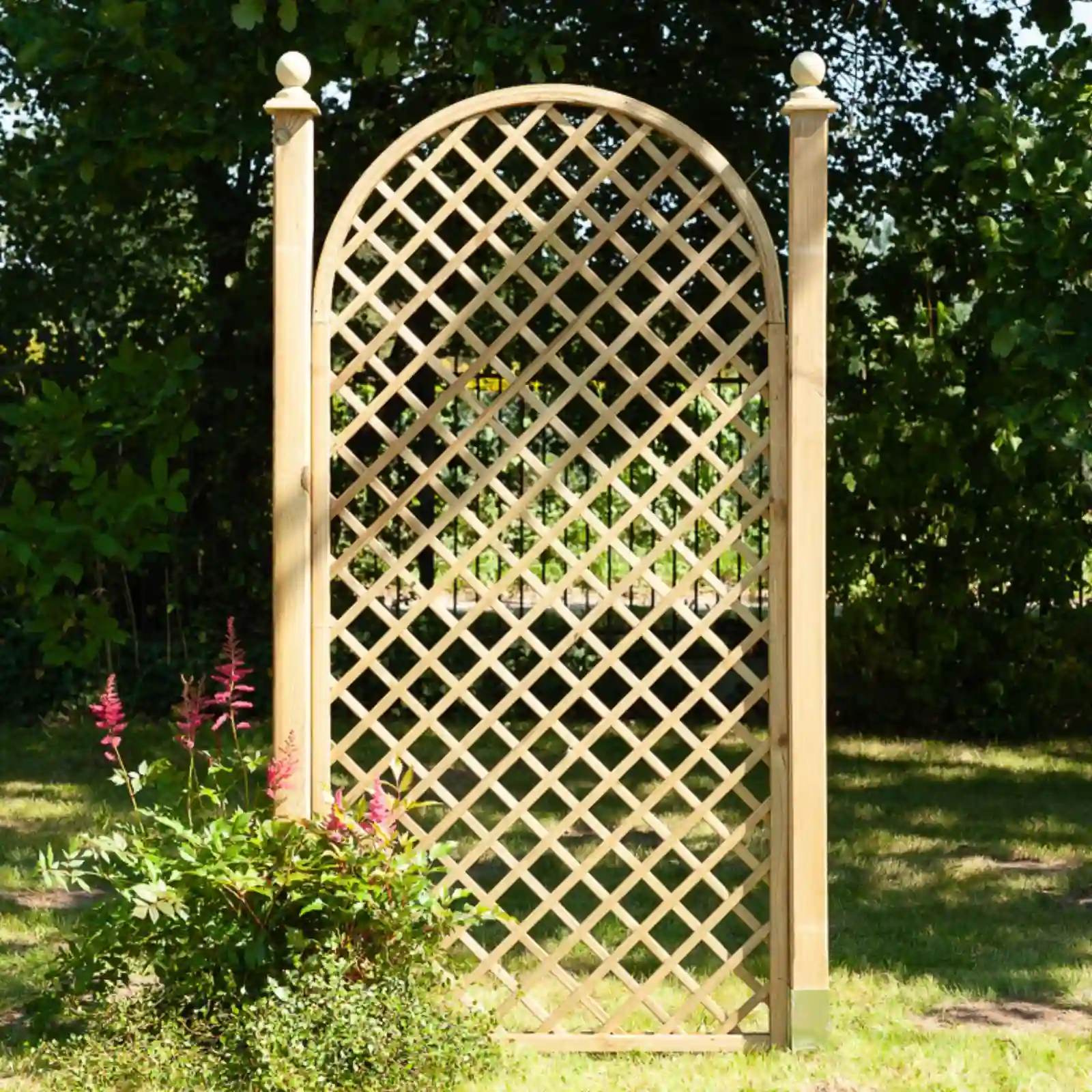Rankgitter mit Rosenbogen als Kletterhilfe