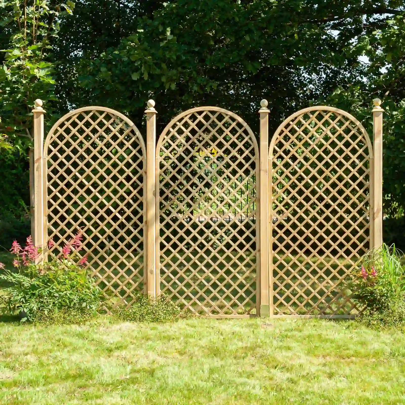 Gesamtansicht: Rankgitter z Rosenbogen