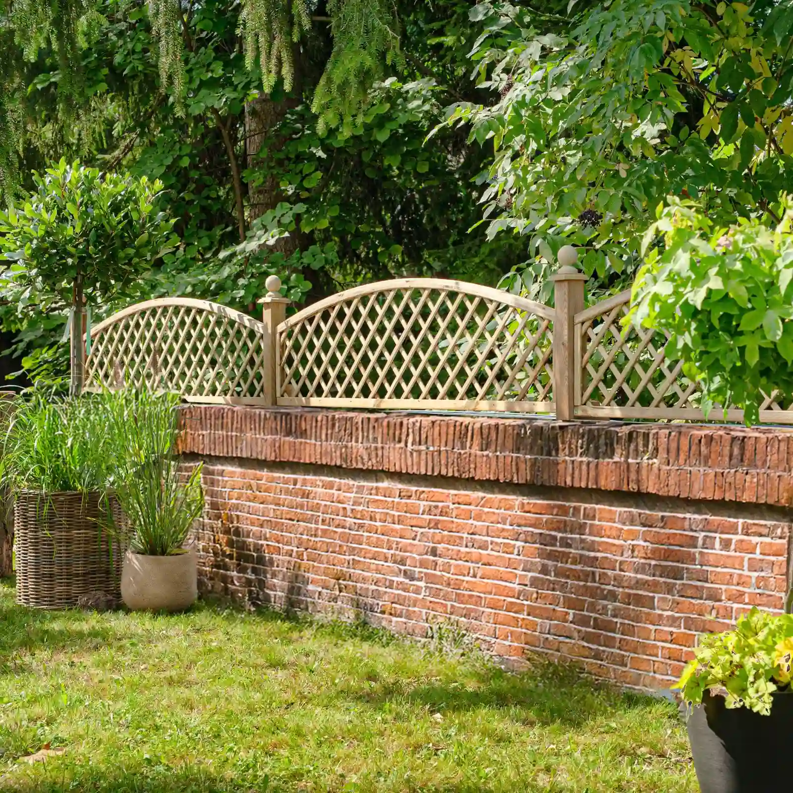 Kratka angielska z nadstawką (1)