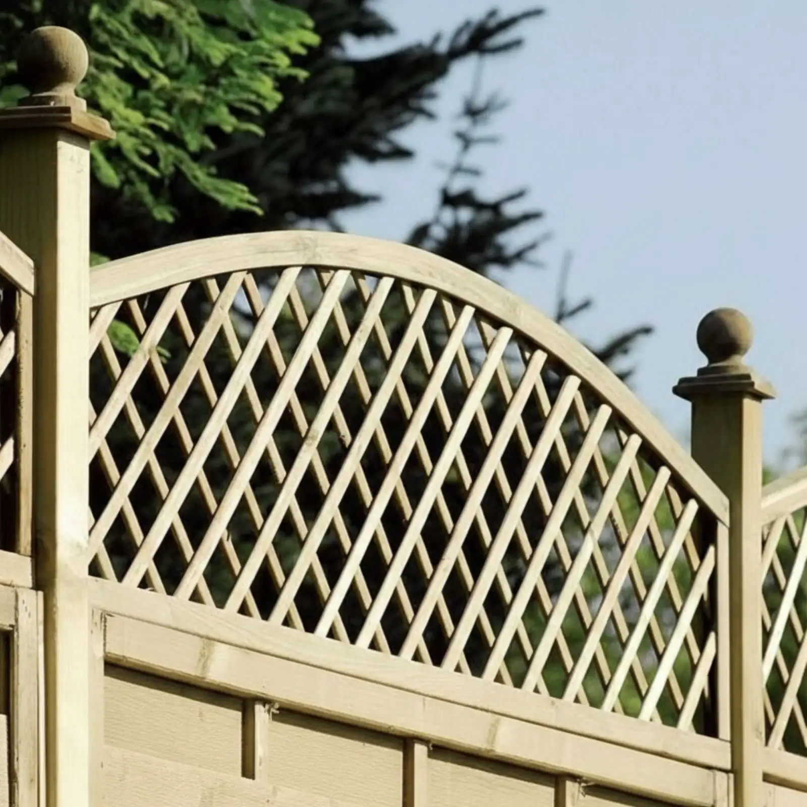 Kratka angielska z nadstawką (2)