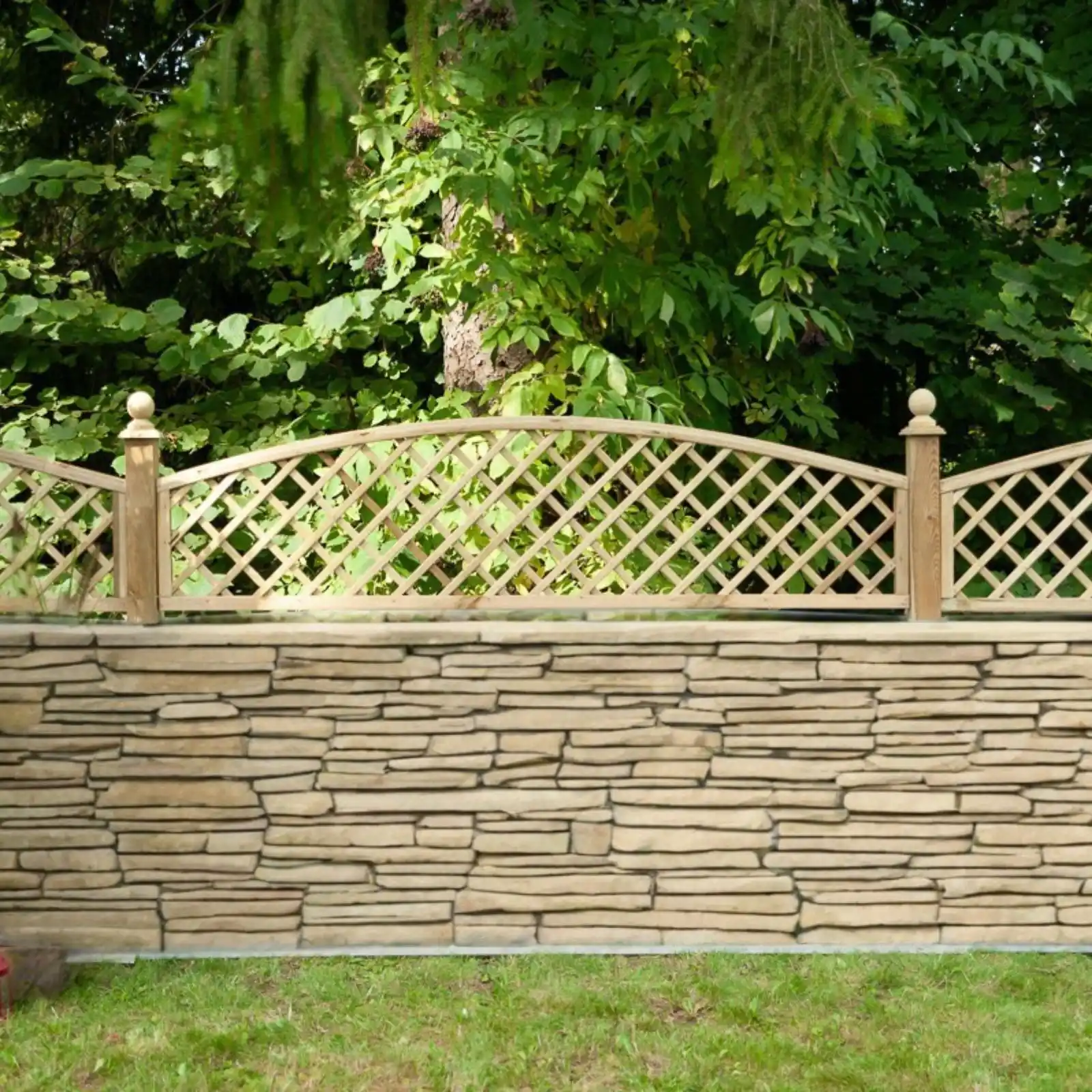 Kratka angielska z nadstawką (4)