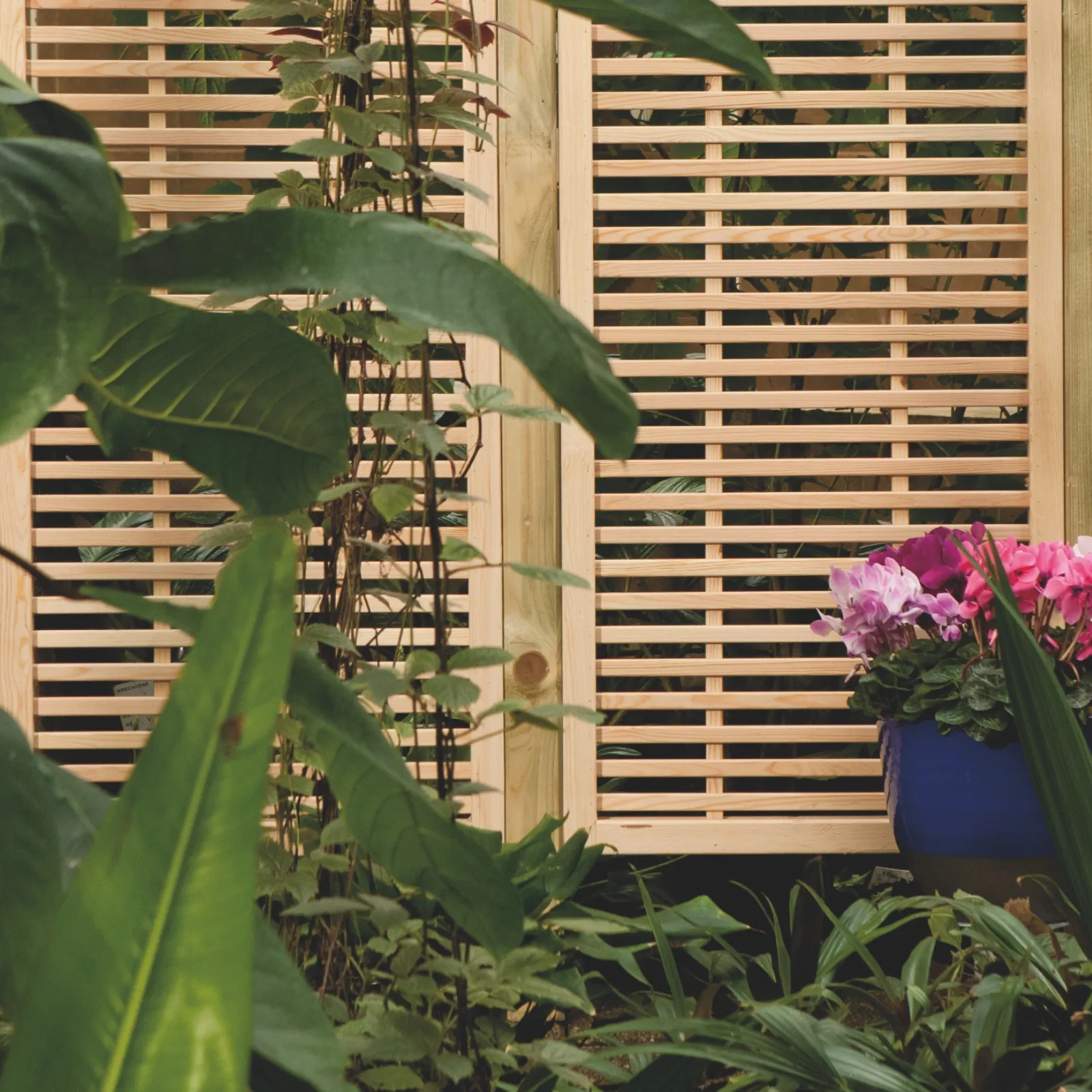 Oslo Gitter als stilvoller Sichtschutz