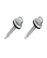 Viti autoperforanti con rondella fi 5x35mm (2 pz)